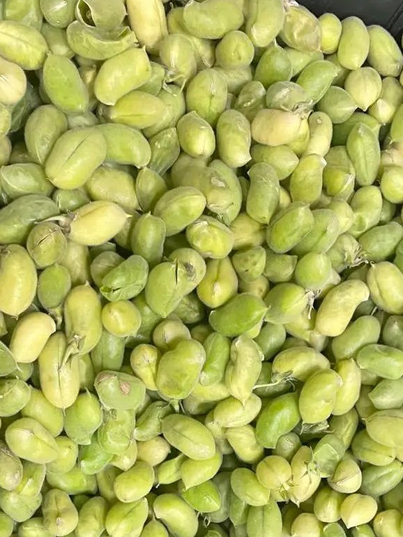 chick peas by Casablanca Mediterranean Food