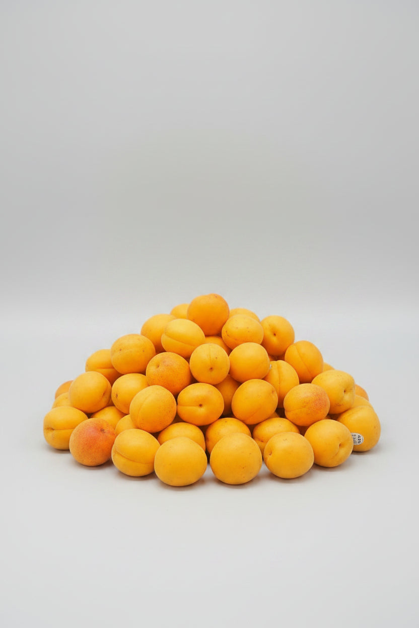 apricots by Casablanca Mediterranean Food