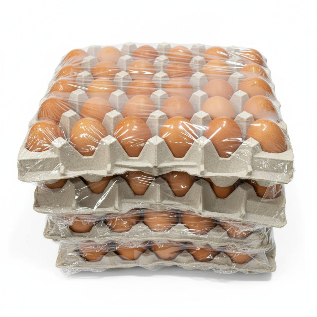 Egg trays by Casablanca Market