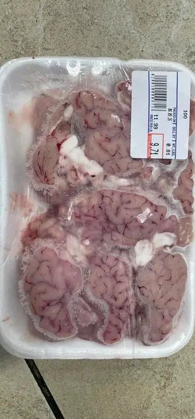 Lamp brain frozen by Casablanca Mediterranean Food