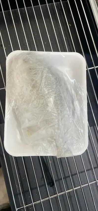 Pompano fish by POMPANO