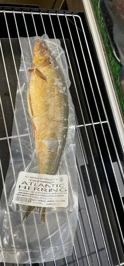 Atalantic herring fish ringa by ATALANTIC