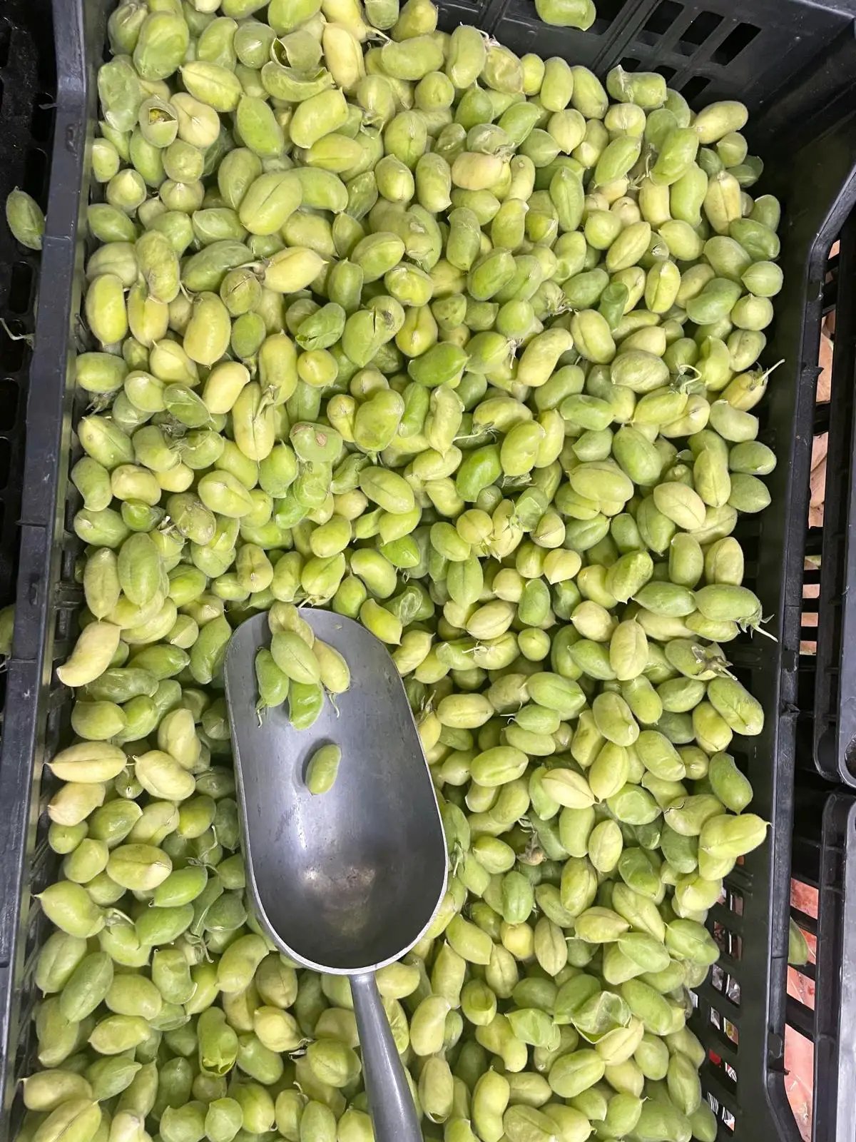 chick peas by Casablanca Mediterranean Food