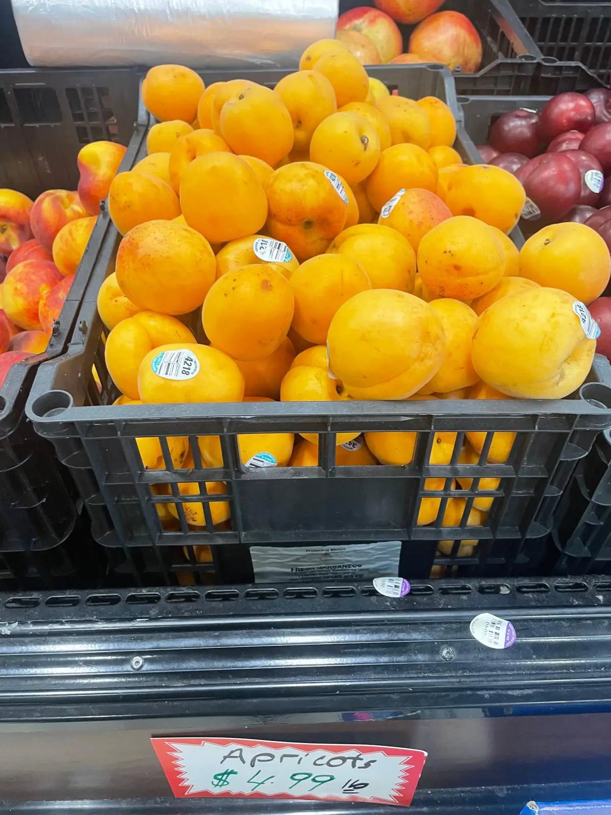 apricots by Casablanca Mediterranean Food