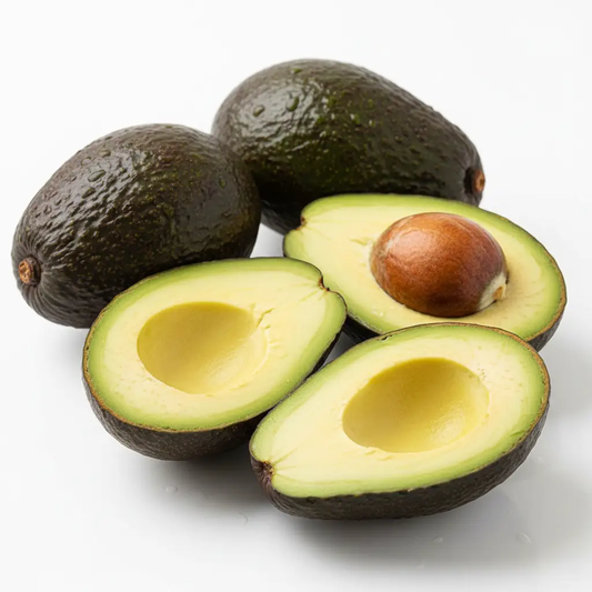 Avocado by CASABLANCA