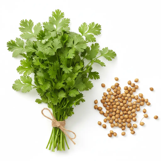 Cilantro / Coriander by Fresh Produce