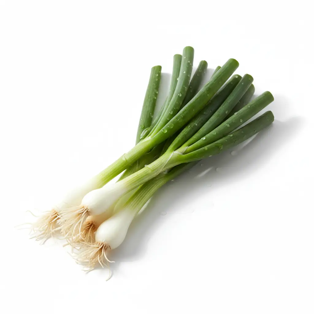 Green Onion by CASABLANCA