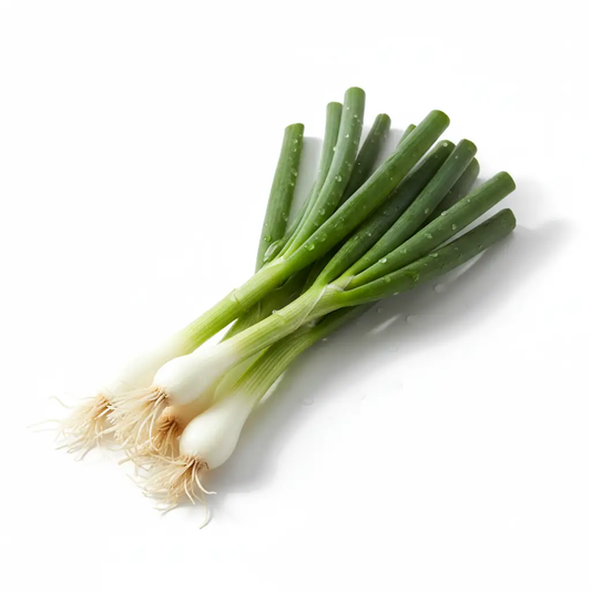 Green Onion by CASABLANCA