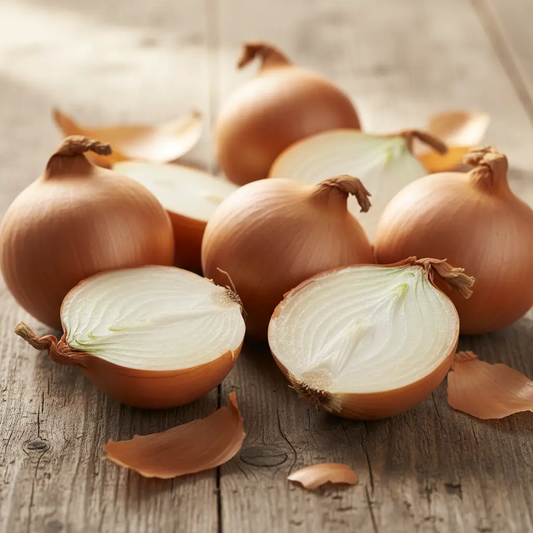 Onion by CASABLANCA
