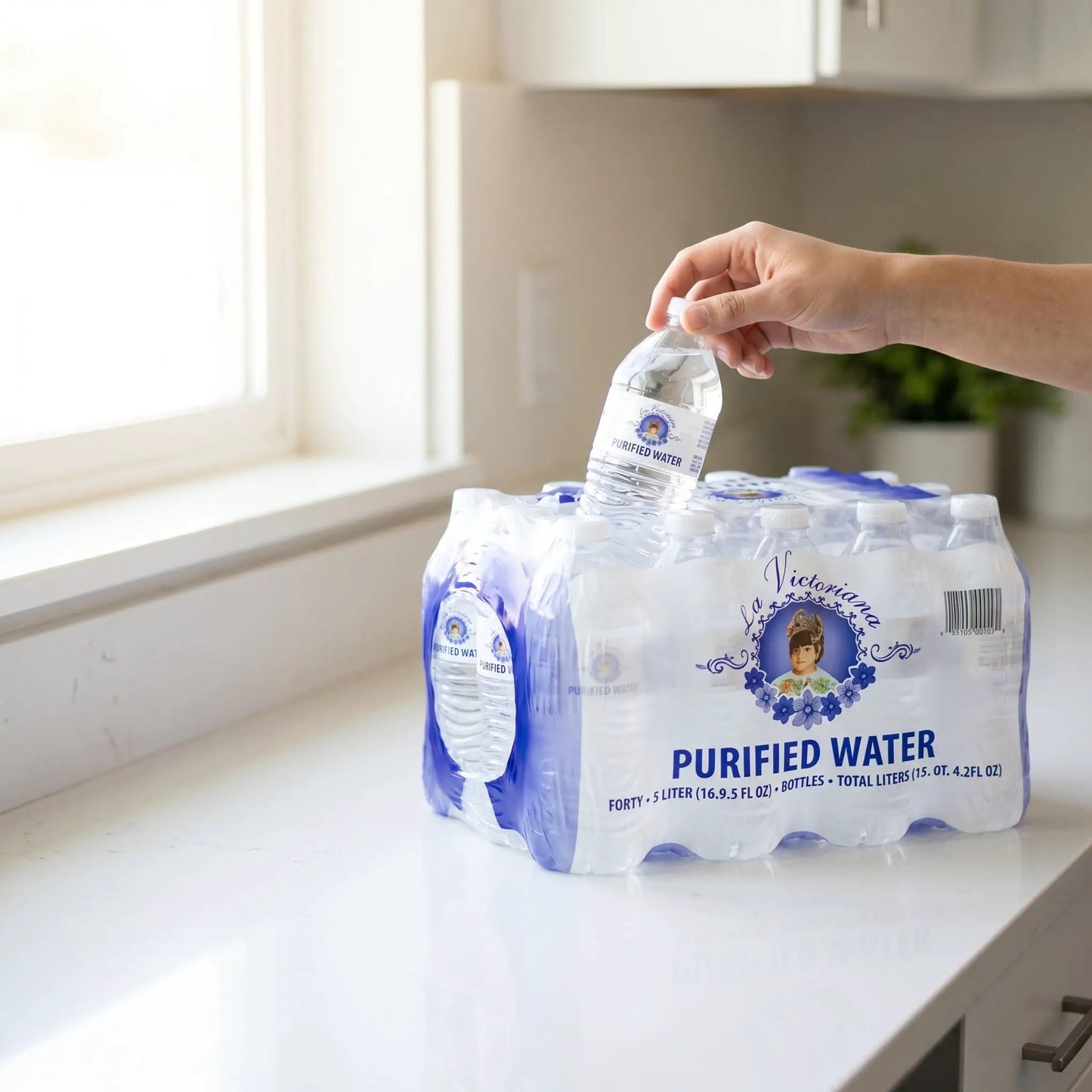 Water purifid 40 bottles .5l by WATER